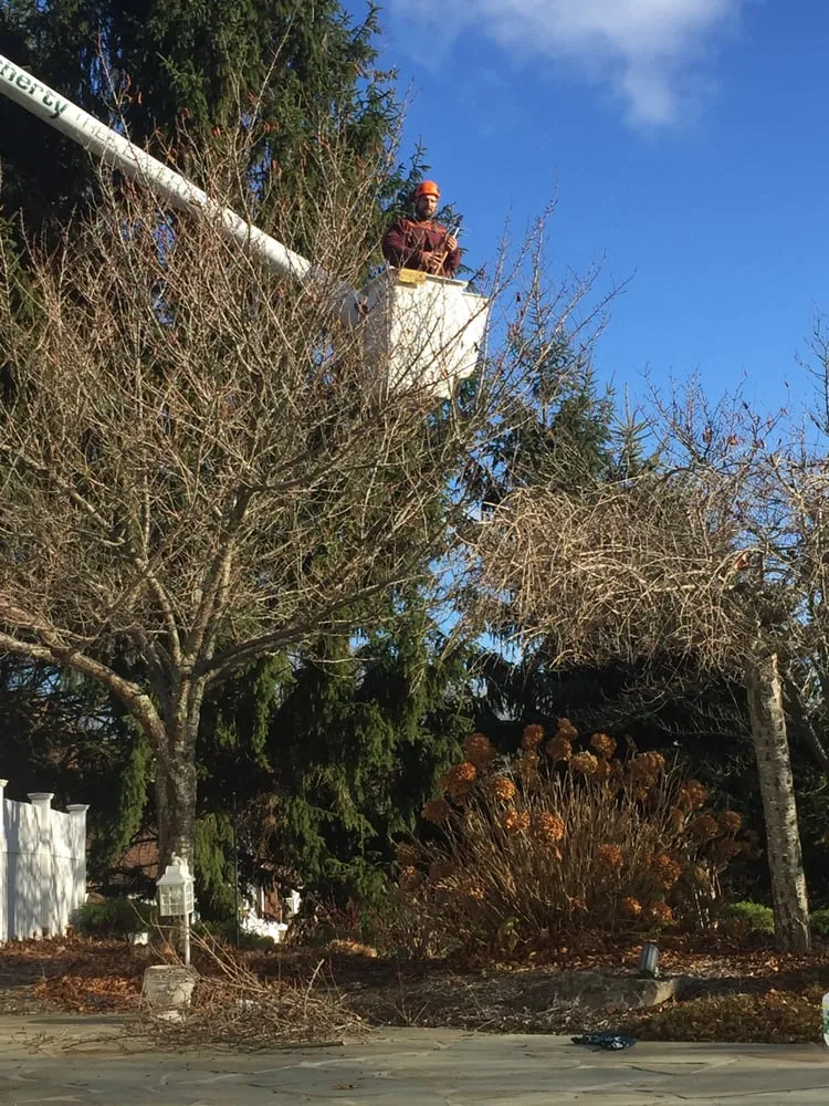 Top-rated landscape installation for residential properties across Stony Brook, NY - Clovis Axion