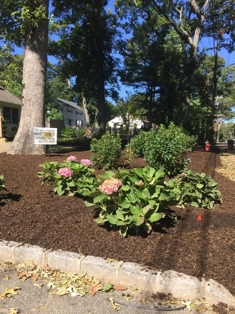 Professional yard maintenance experts serving Stony Brook, NY - Clovis Axion