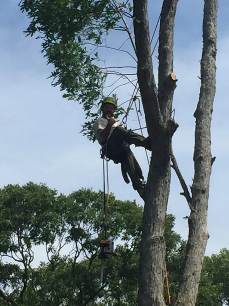 Expert lawn care service in Stony Brook, NY by Clovis Axion