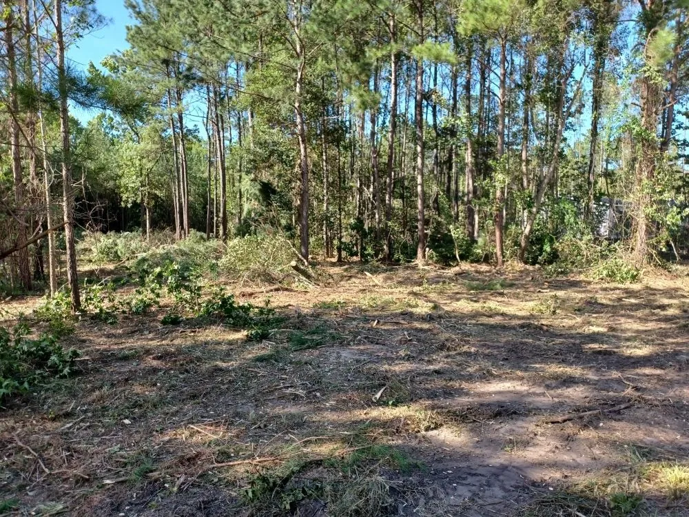 Custom residential landscaping in Conway, SC by Clovis Belanger Enterprises