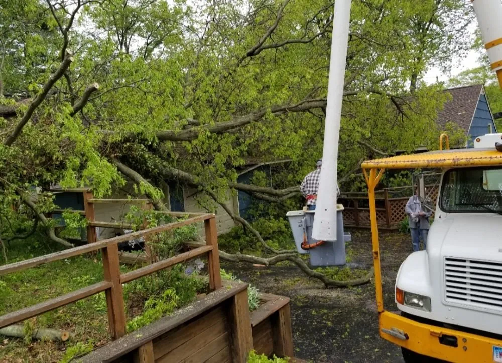 Professional garden landscaping in Conway, SC - Clovis Belanger Enterprises