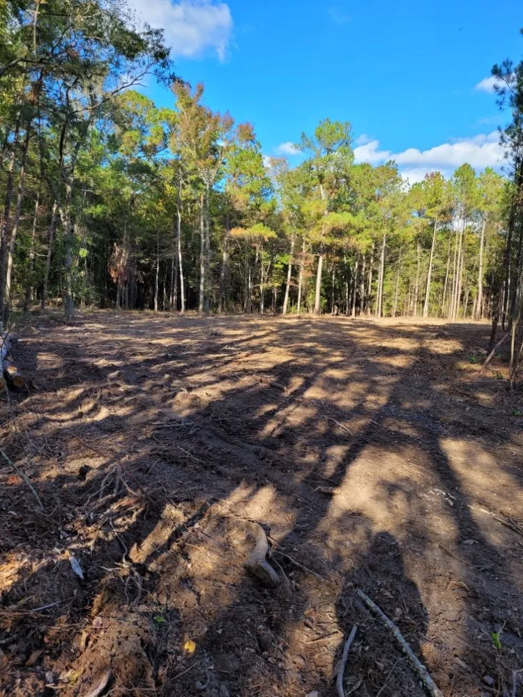 Professional lawn care service in Conway, SC by Clovis Belanger Enterprises