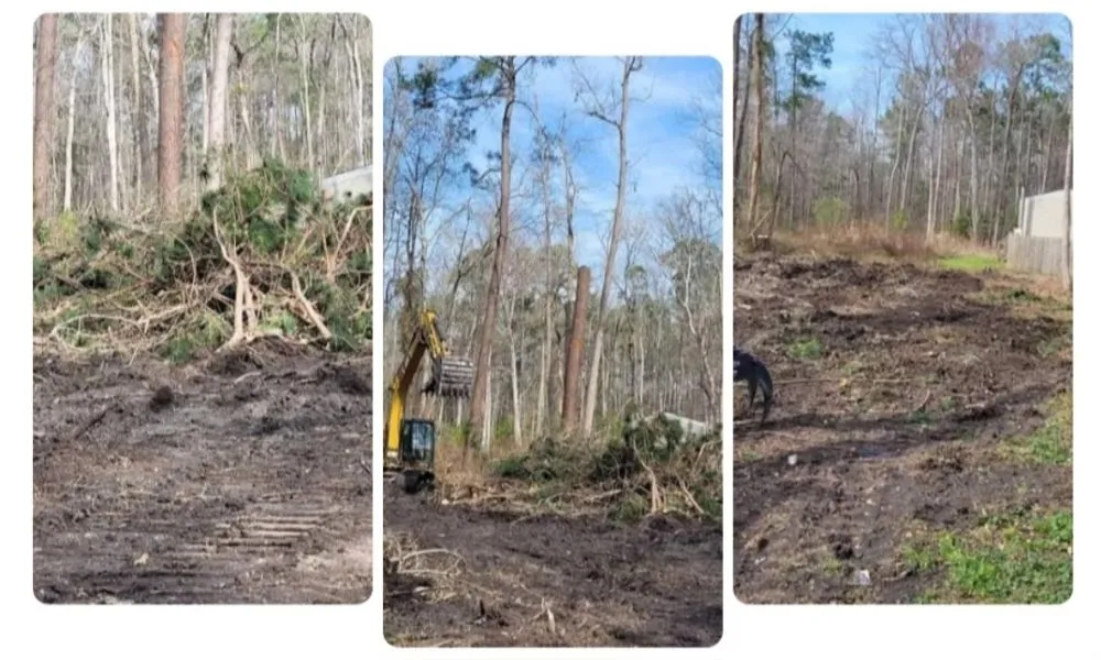 Reliable yard cleanup service in Conway, SC by Clovis Belanger Enterprises