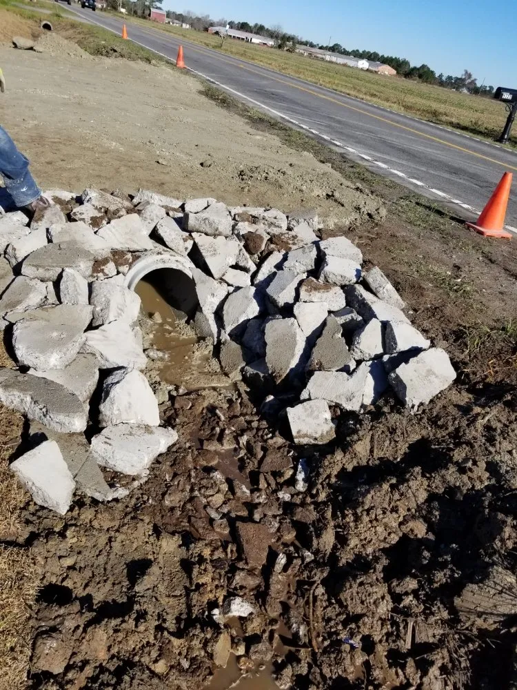 Local landscaping services for year-round maintenance across Conway, SC - Clovis Belanger Enterprises