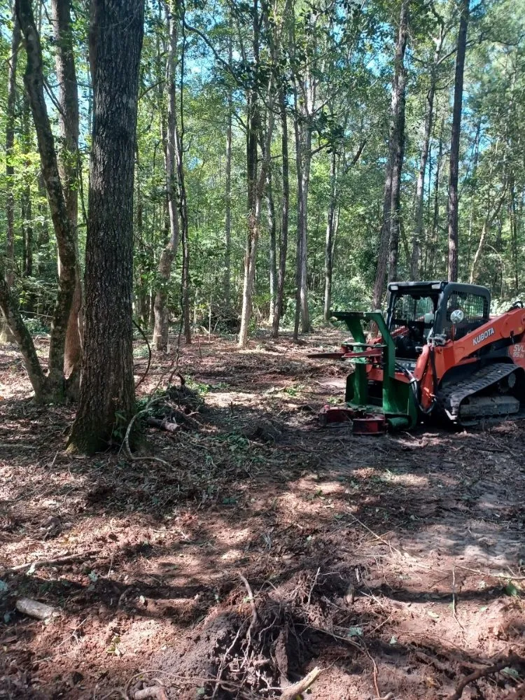 Custom lawn care service in Conway, SC - Clovis Belanger Enterprises