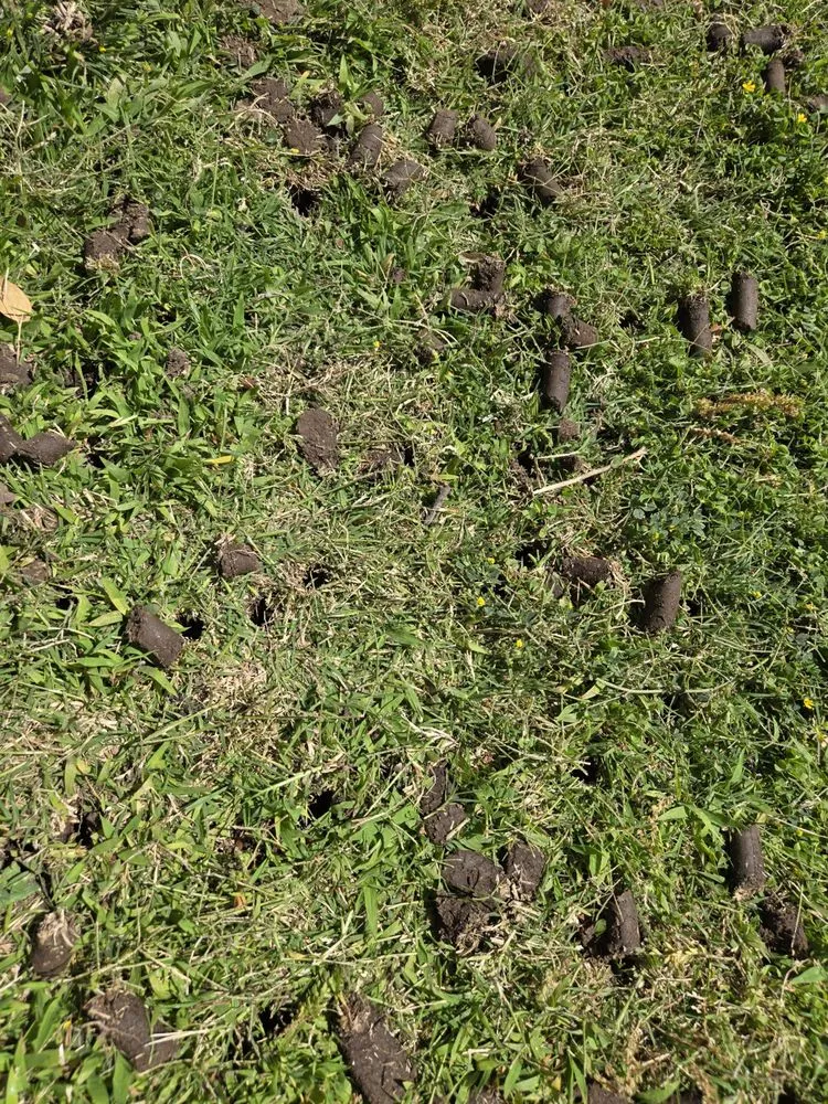 Affordable residential landscaping for year-round maintenance across Clovis, CA - Clovis Lawn Services