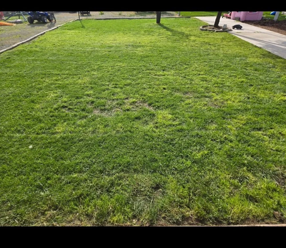 Top-rated yard maintenance in Clovis, CA - Clovis Lawn Services
