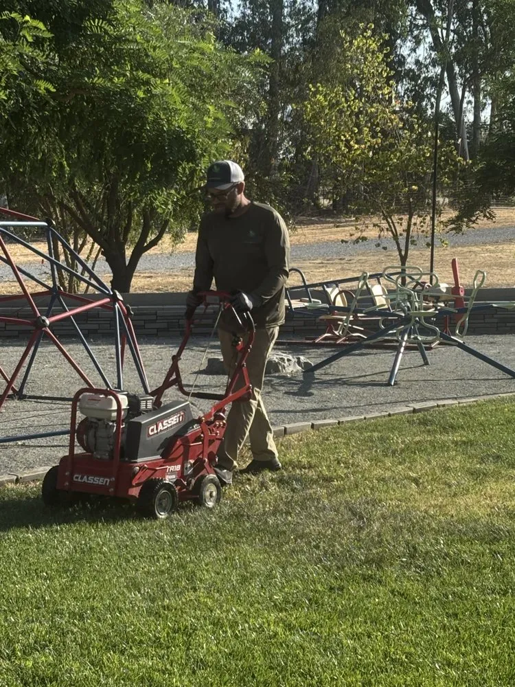 Expert landscaping services near you in Clovis, CA by Clovis Lawn Services