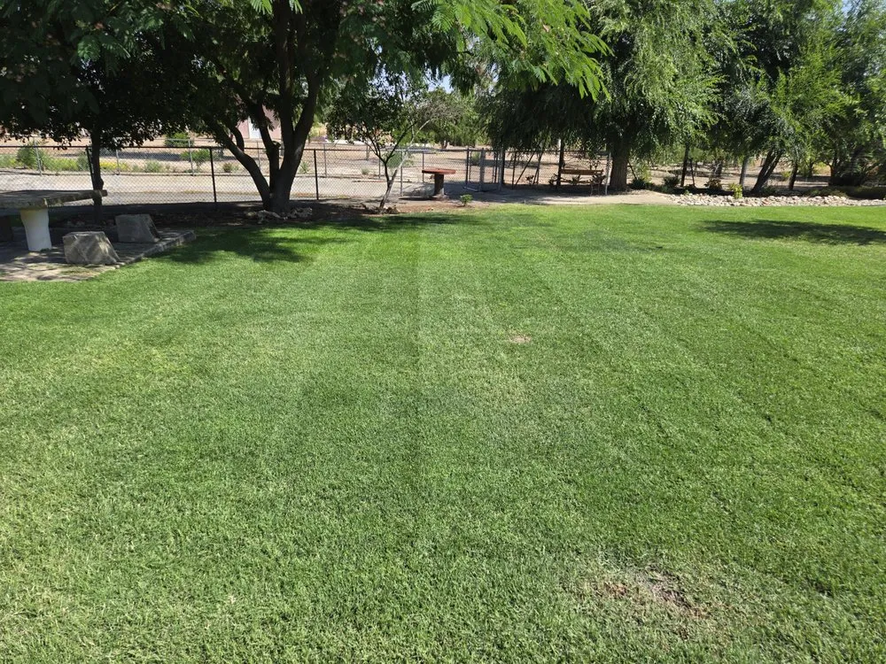 Affordable outdoor landscaping experts serving Clovis, CA - Clovis Lawn Services