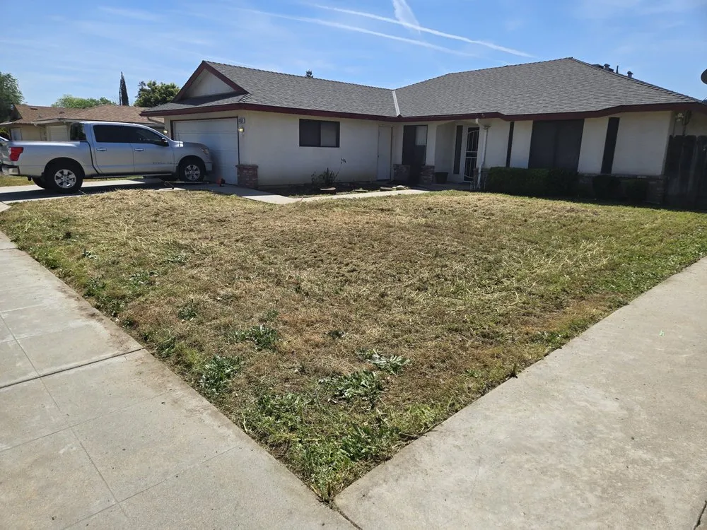 Expert yard cleanup service in Clovis, CA by Clovis Lawn Services