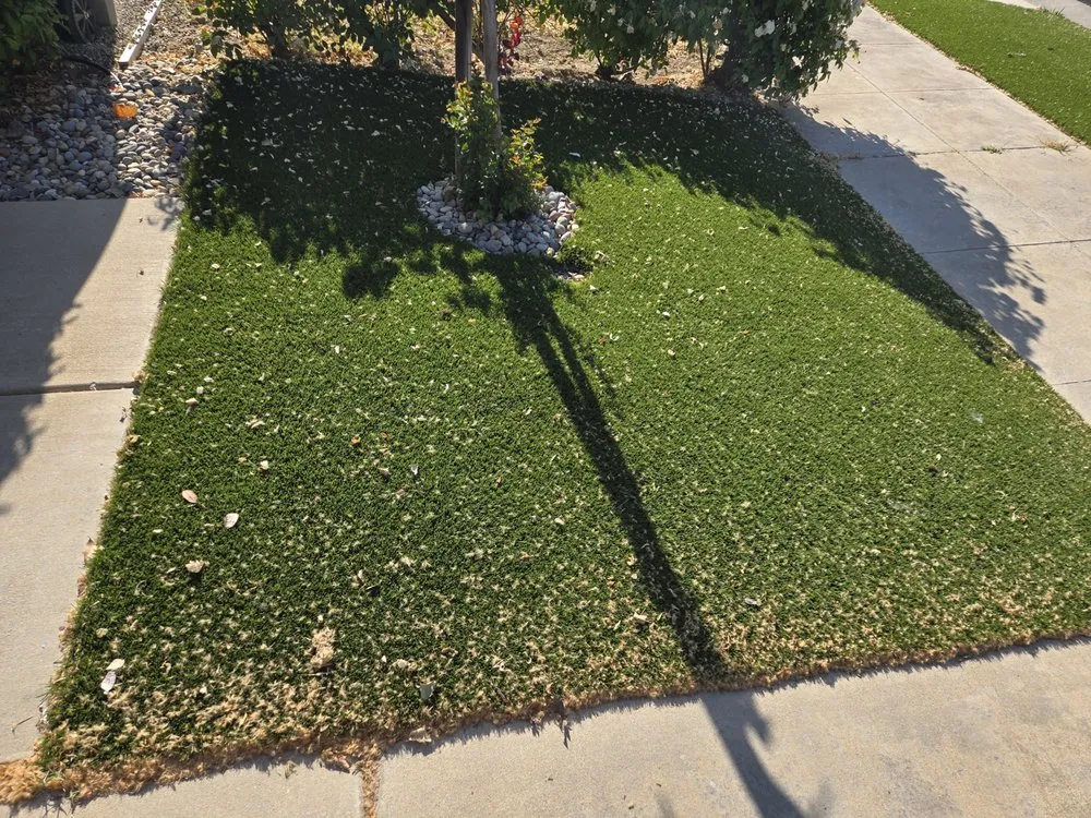 Expert lawn care service in Clovis, CA by Clovis Lawn Services