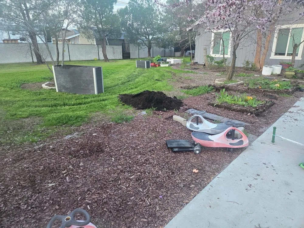Reliable lawn mowing service experts serving Clovis, CA - Clovis Lawn Services
