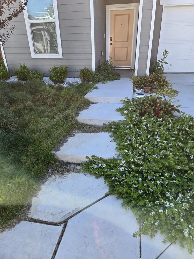Reliable landscape installation in Clovis, CA - Clovis Lawn Services