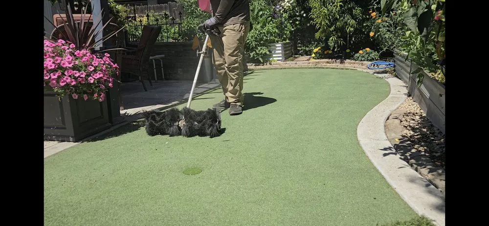 Affordable residential landscaping in Clovis, CA - Clovis Lawn Services