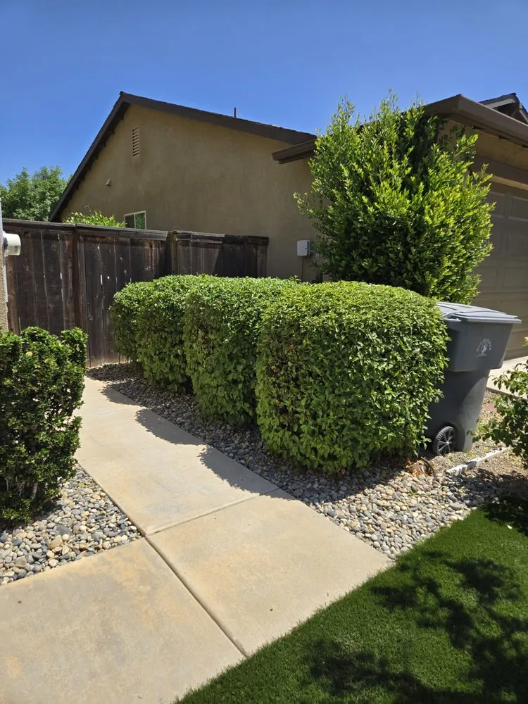 Trusted residential landscaping near you across Clovis, CA - Clovis Lawn Services