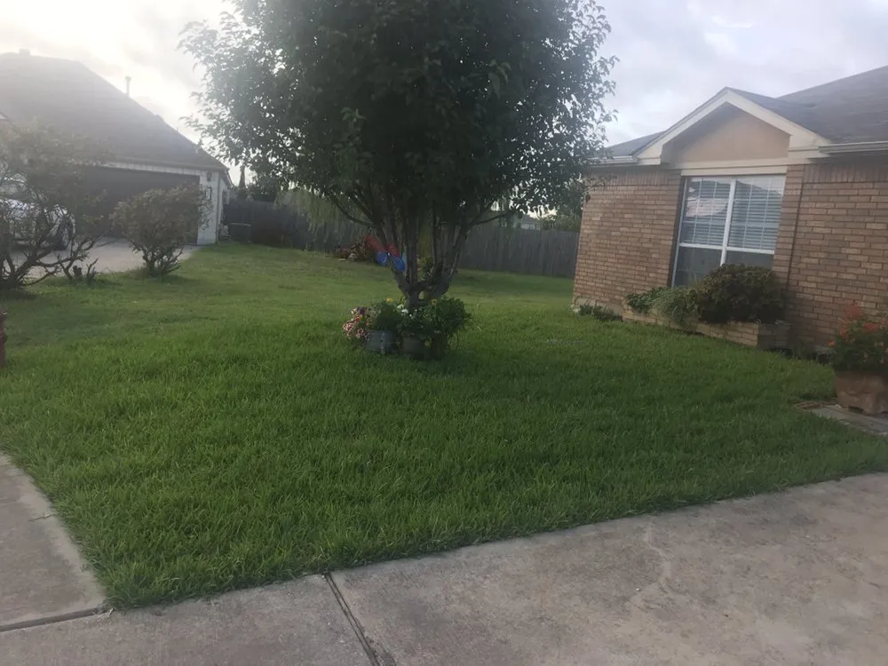 Top-rated outdoor landscaping in Leander, TX by Clovis Touch Landscaping