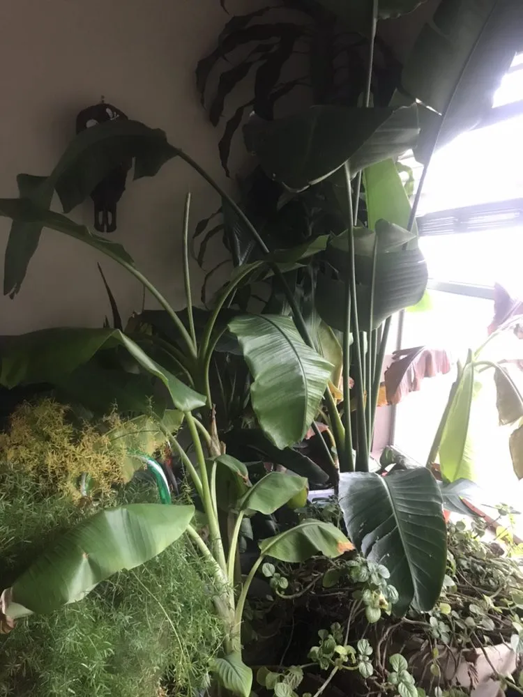 Reliable landscape installation for year-round maintenance across Leander, TX - Clovis Touch Landscaping