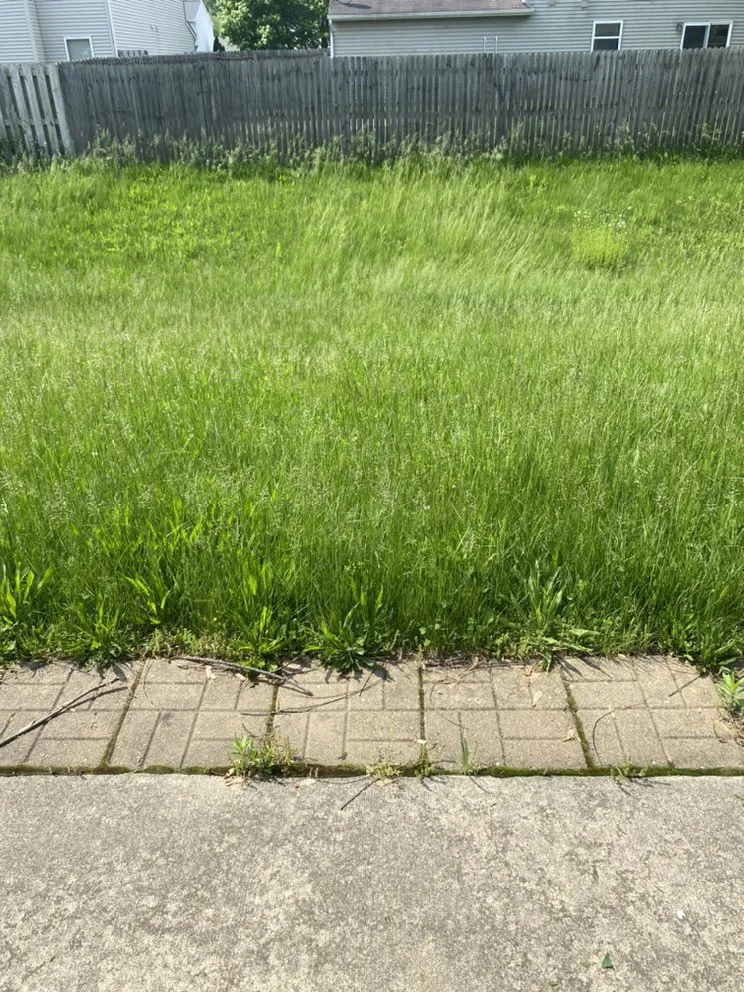 Top-rated outdoor landscaping with custom design across Oxford, IN - Clow’s Lawn Care