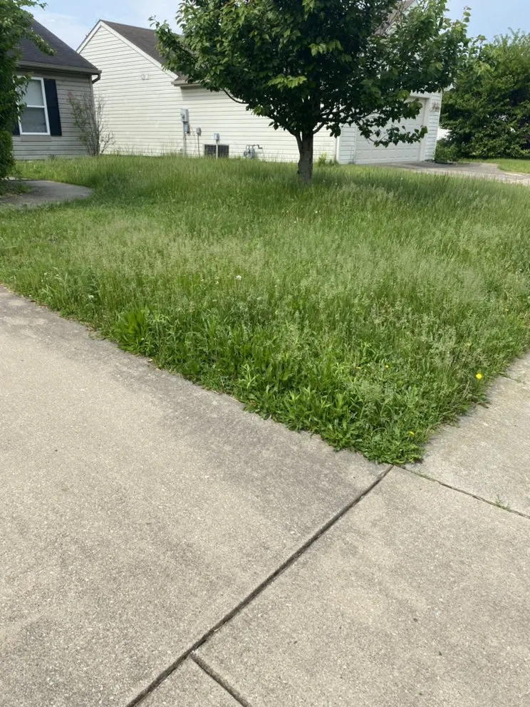 Trusted lawn care service in Oxford, IN - Clow’s Lawn Care