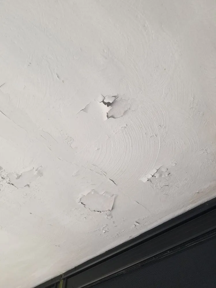 Professional outdoor landscaping near you in Detroit, MI by CLR Handyman & Landscapes