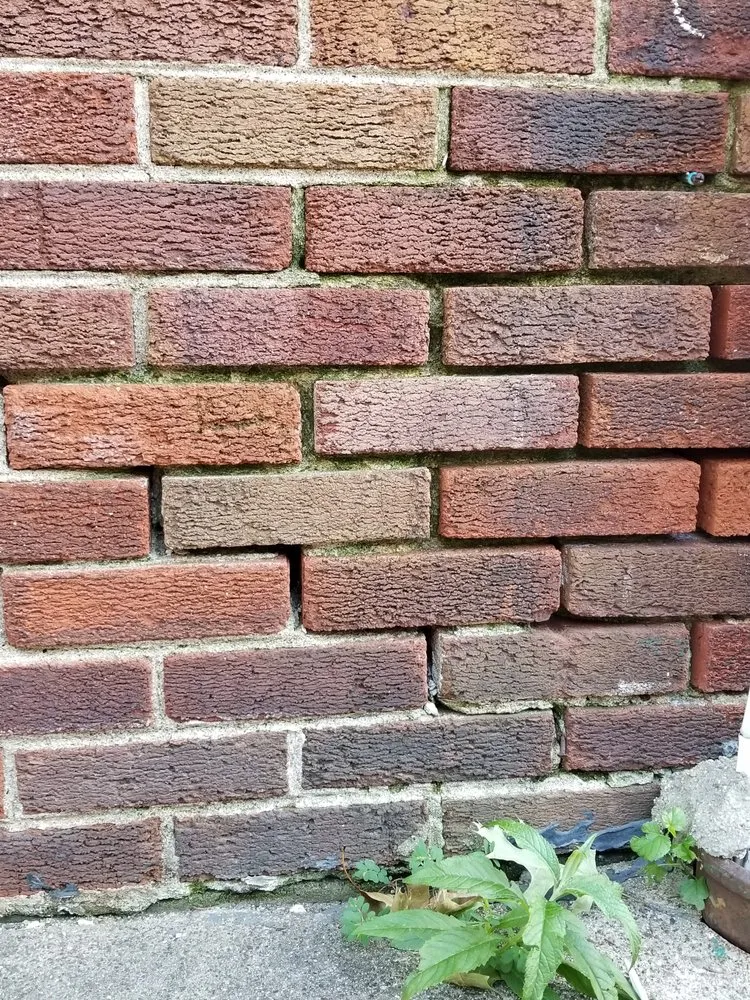 Expert outdoor landscaping for year-round maintenance across Detroit, MI - CLR Handyman & Landscapes