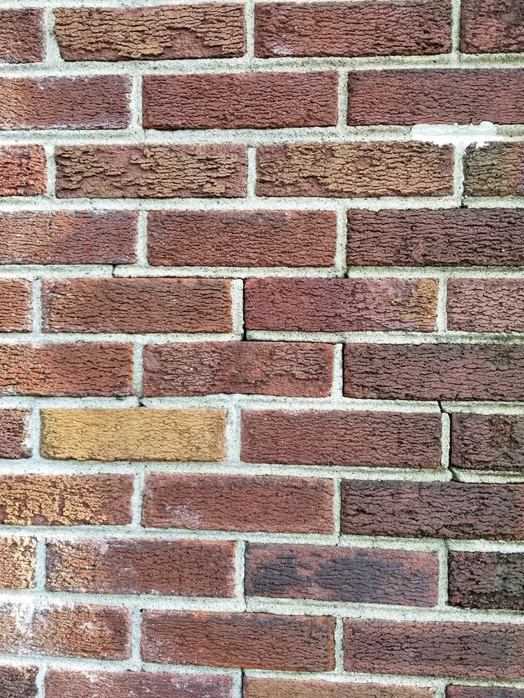 Top-rated yard cleanup service for year-round maintenance in Detroit, MI by CLR Handyman & Landscapes