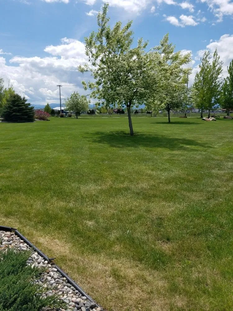 Expert yard cleanup service experts serving Belgrade, MT - CLR Lawn Care