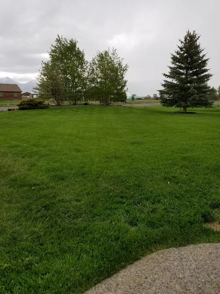 Affordable landscape design in Belgrade, MT - CLR Lawn Care