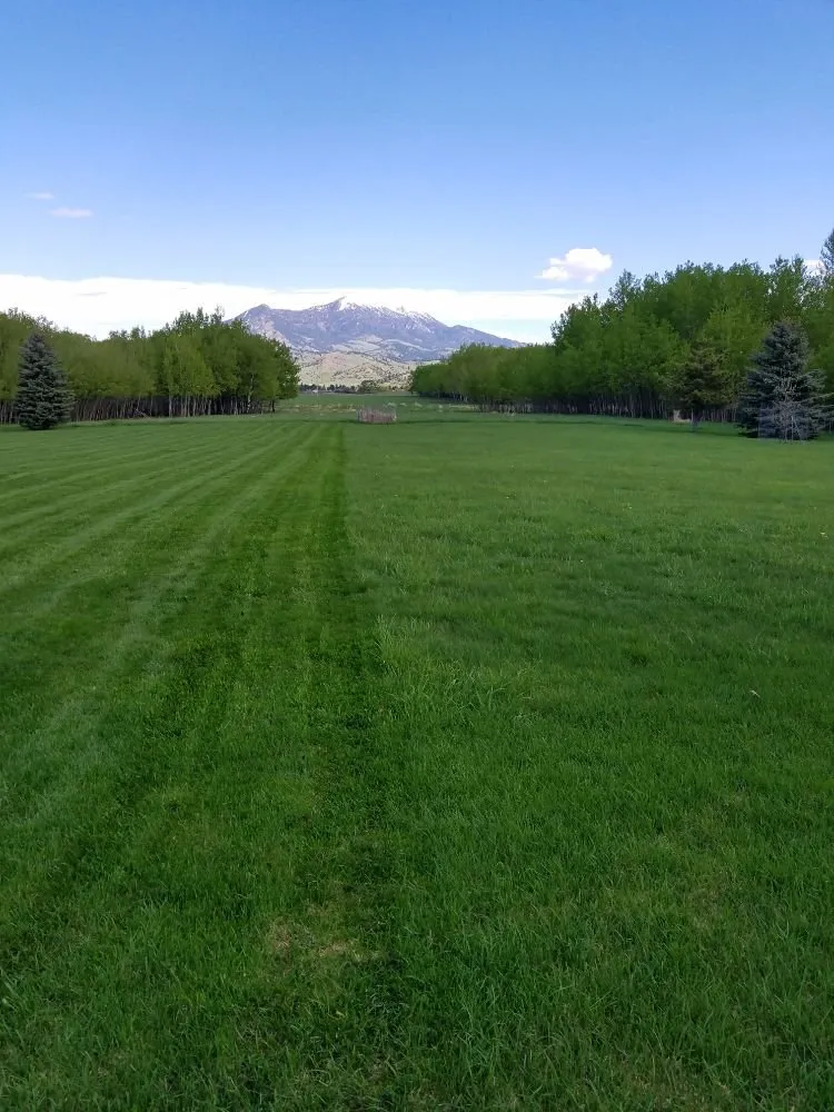 Expert landscaping services with custom design across Belgrade, MT - CLR Lawn Care