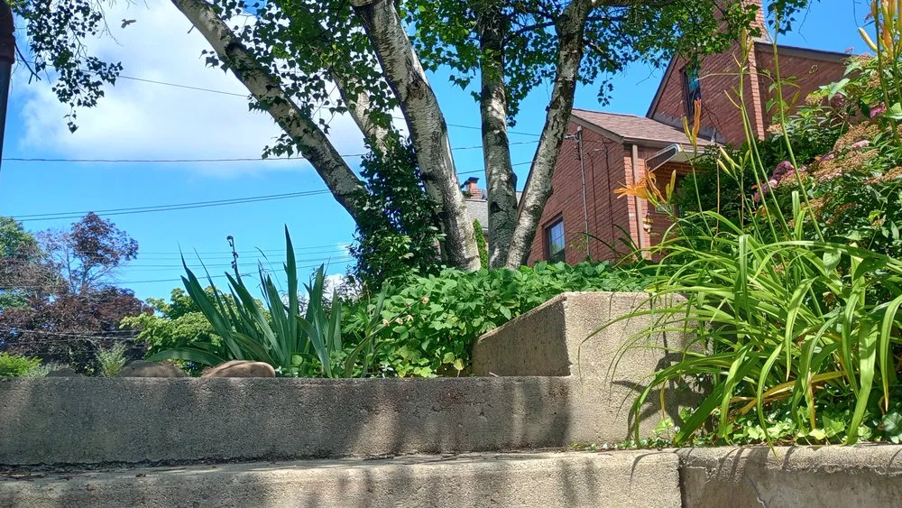 Custom lawn care service for homes in Pittsburgh, PA by CLR Lawn Services