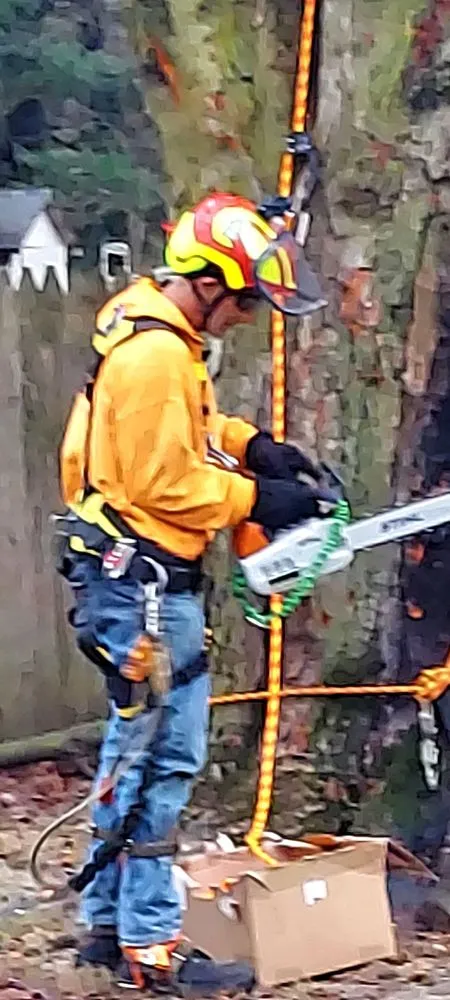 Trusted yard cleanup service in Elkhart, IN - CLS Home & Auto