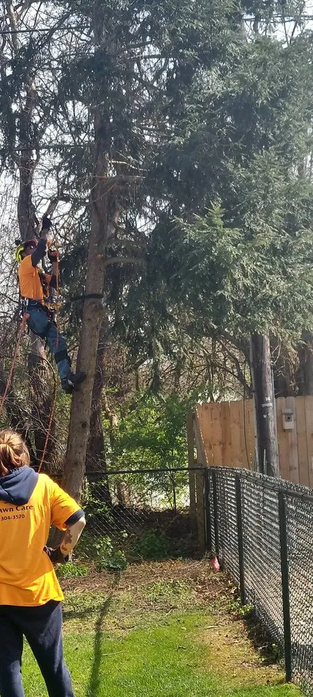 Expert yard cleanup service in Elkhart, IN by CLS Home & Auto