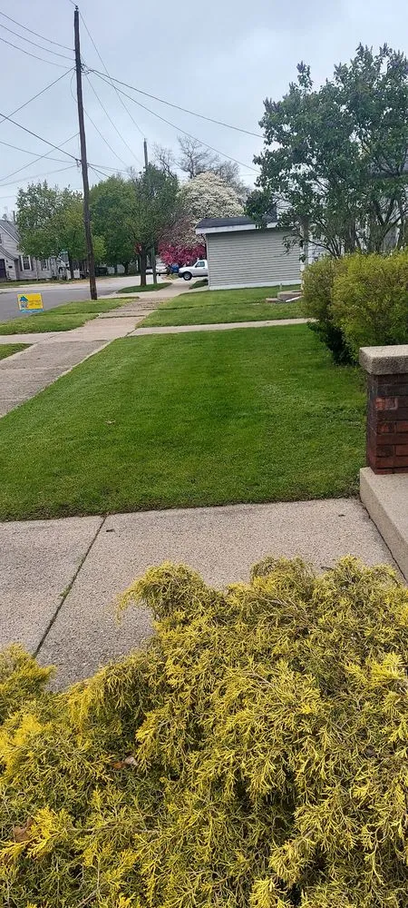 Top-rated yard cleanup service for homes in Elkhart, IN by CLS Home & Auto