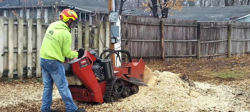 Affordable lawn mowing service in Elkhart, IN by CLS Home & Auto