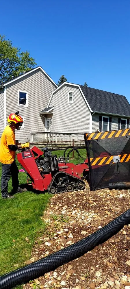 Trusted yard cleanup service experts serving Elkhart, IN - CLS Home & Auto