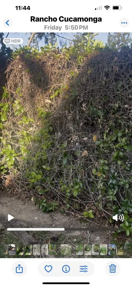 Top-rated outdoor landscaping in Chino, CA by CLS Landscape Management