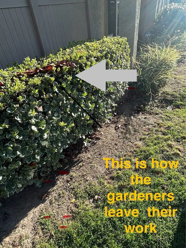 Expert landscape design in Chino, CA - CLS Landscape Management