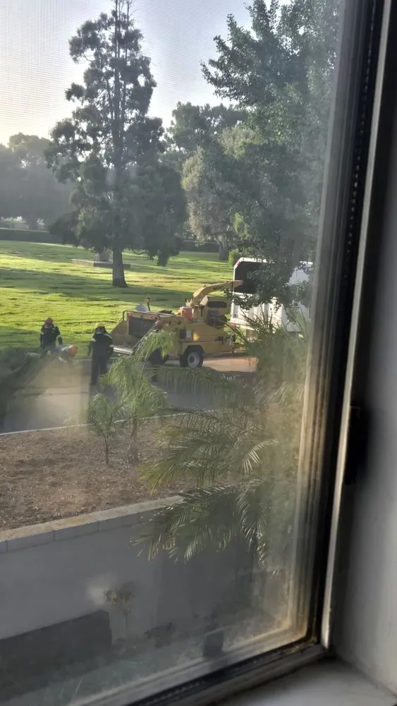 Top-rated yard maintenance in Chino, CA - CLS Landscape Management