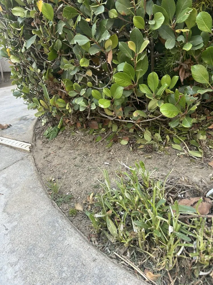 Trusted garden landscaping in Chino, CA - CLS Landscape Management