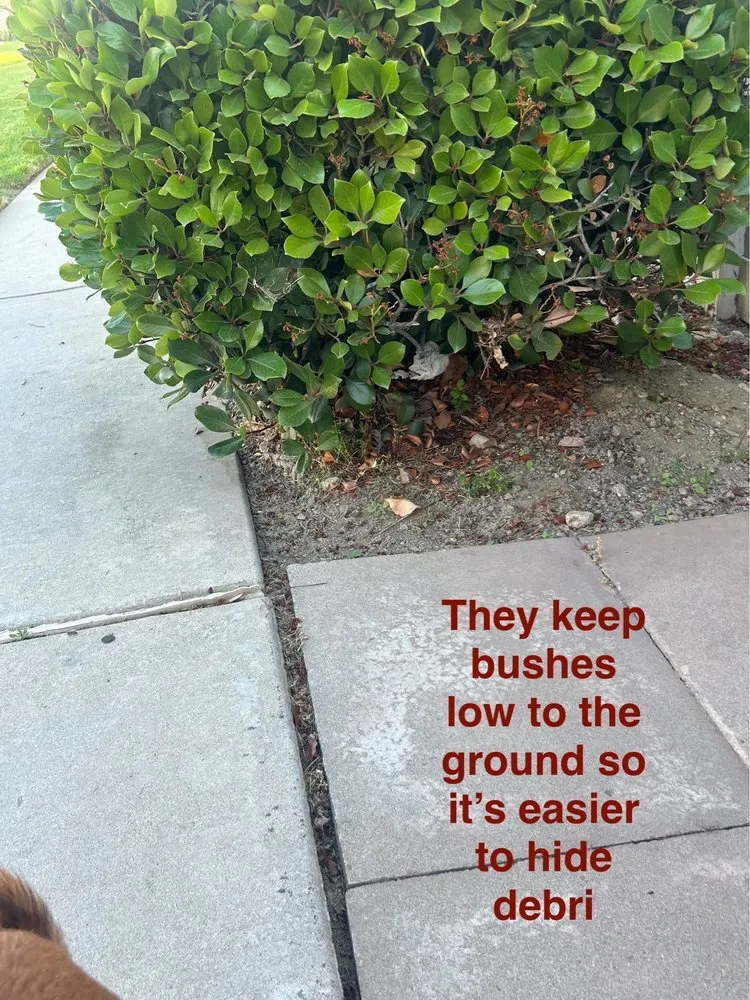 Expert lawn mowing service in Chino, CA - CLS Landscape Management