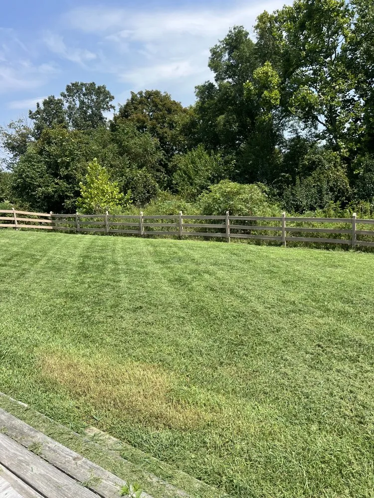 Professional outdoor landscaping in Corryton, TN by CLS Landscapes