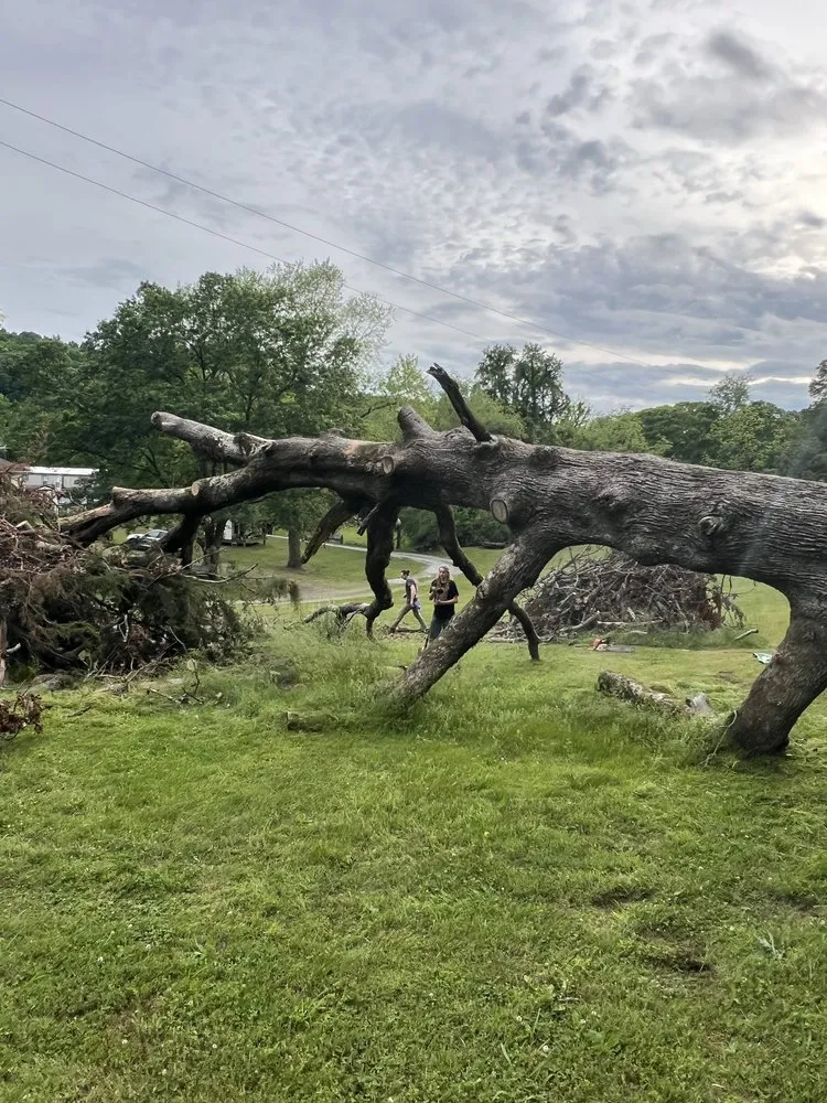 Local yard cleanup service in Corryton, TN by CLS Landscapes