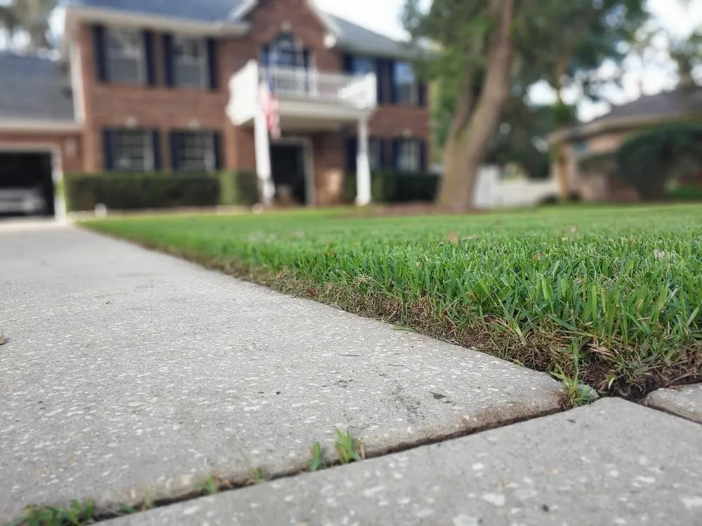 Affordable yard maintenance in Conroe, TX - CLS Lawn & Pest