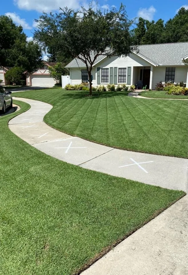 Affordable lawn mowing service in Conroe, TX - CLS Lawn & Pest