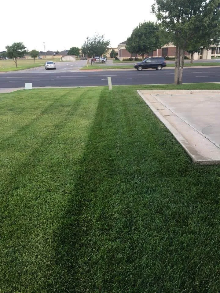 Reliable yard cleanup service in Conroe, TX - CLS Lawn & Pest