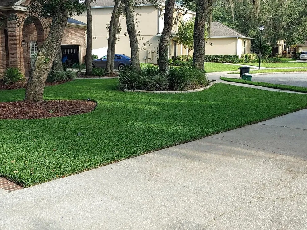 Affordable outdoor landscaping for year-round maintenance in Conroe, TX by CLS Lawn & Pest