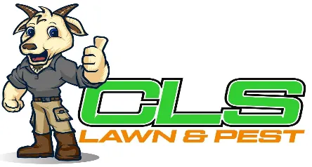 Reliable landscape installation in Conroe, TX - CLS Lawn & Pest