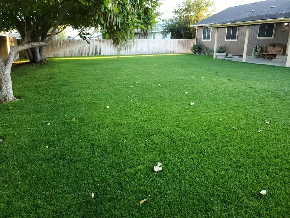 Custom landscaping services experts serving Conroe, TX - CLS Lawn & Pest