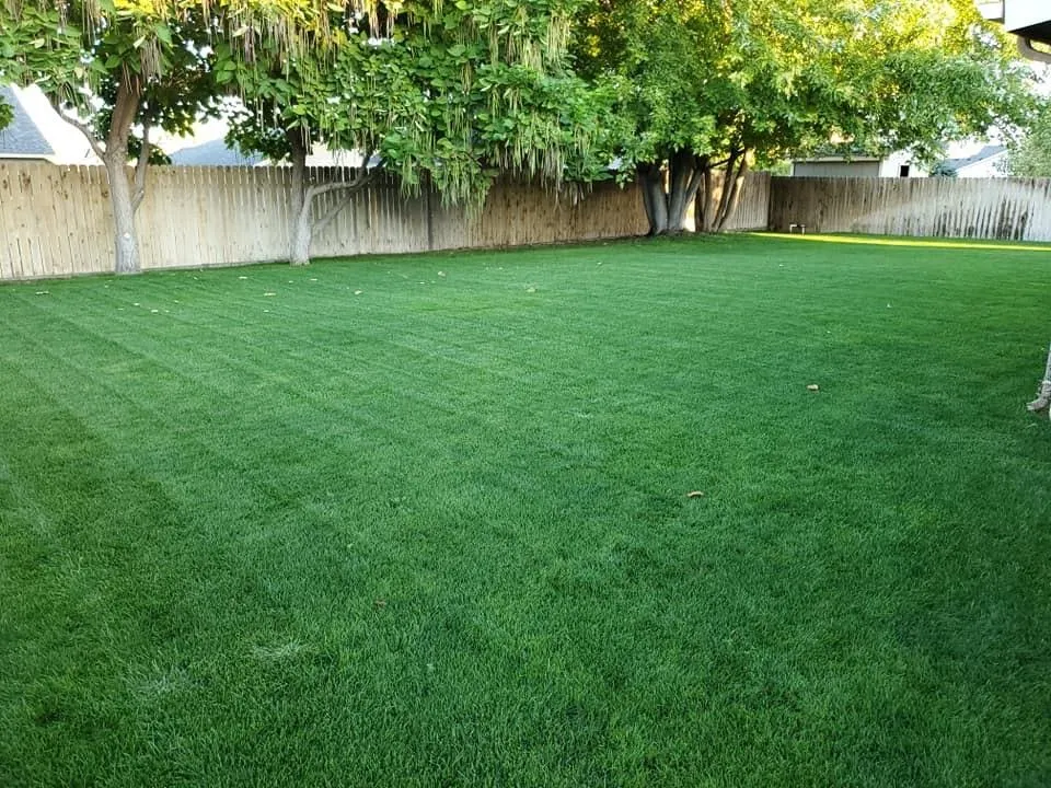Professional landscape design for residential properties across Conroe, TX - CLS Lawn & Pest