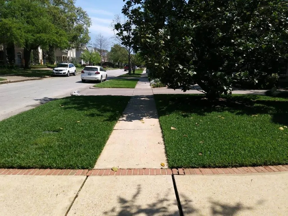 Expert yard cleanup service in Conroe, TX by CLS Lawn & Pest